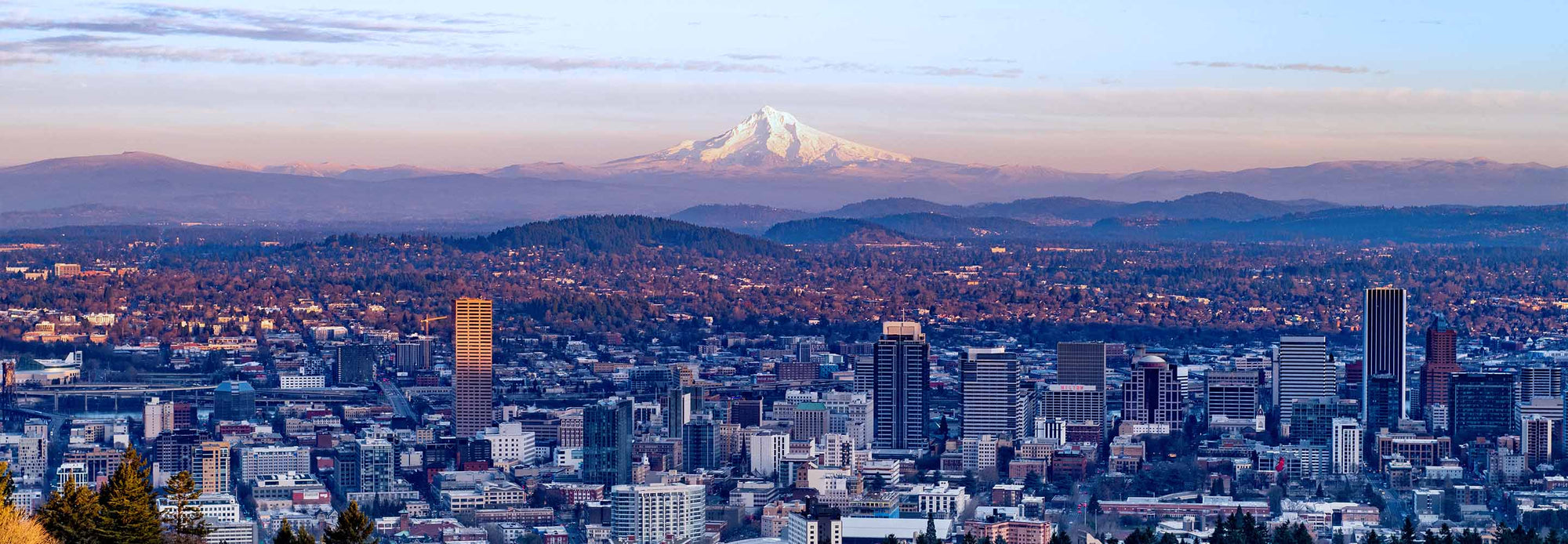 Portland city skyline
