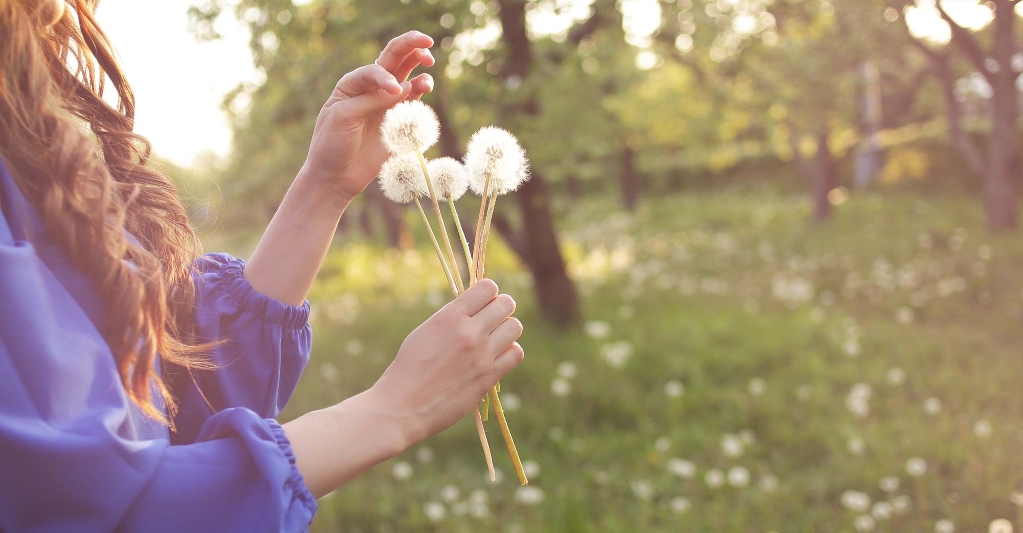 Woman holding dandelions in hand outside