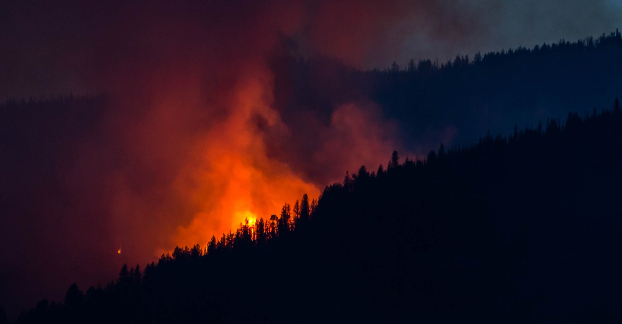 Fire burning on a forested hillside.