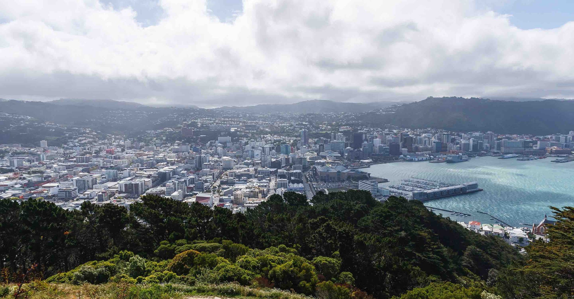 View of Wellington New Zealand city and port