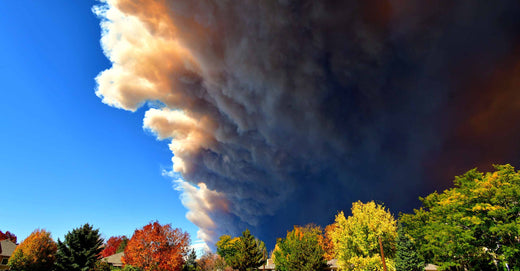 Wildfire smoke in residential area