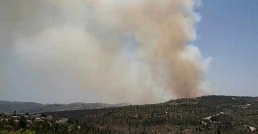 Wildfires burning outside of Athens.