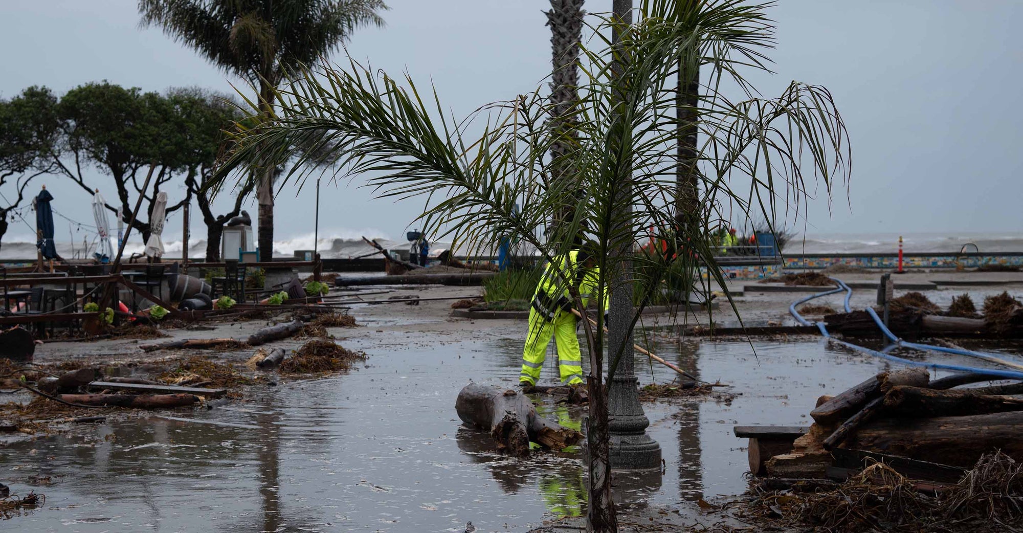 Man working in flooded area near palm trees