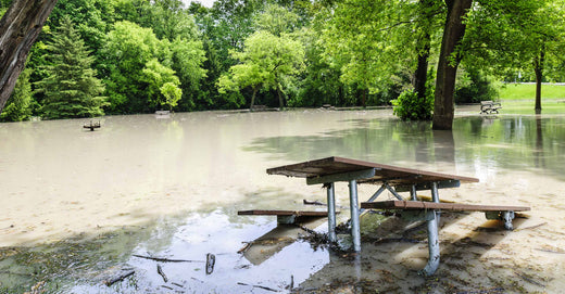 Flooding in Alberta, Canada