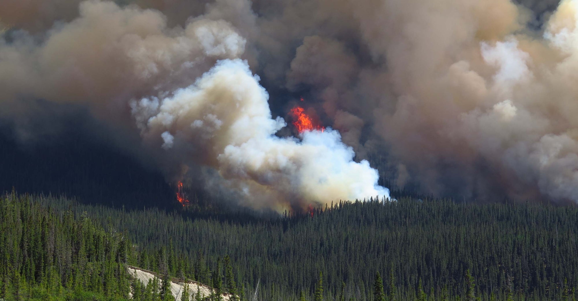 Smoke and fire above a forest