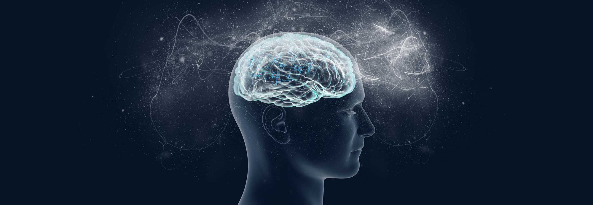 Illustration of brain in human head