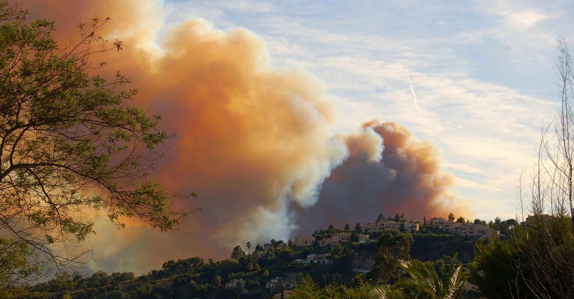 Wildfire smoke on a wooded hill