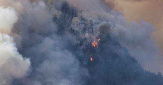 Wildfire Map Spotlight: Jasper National Park, Alberta