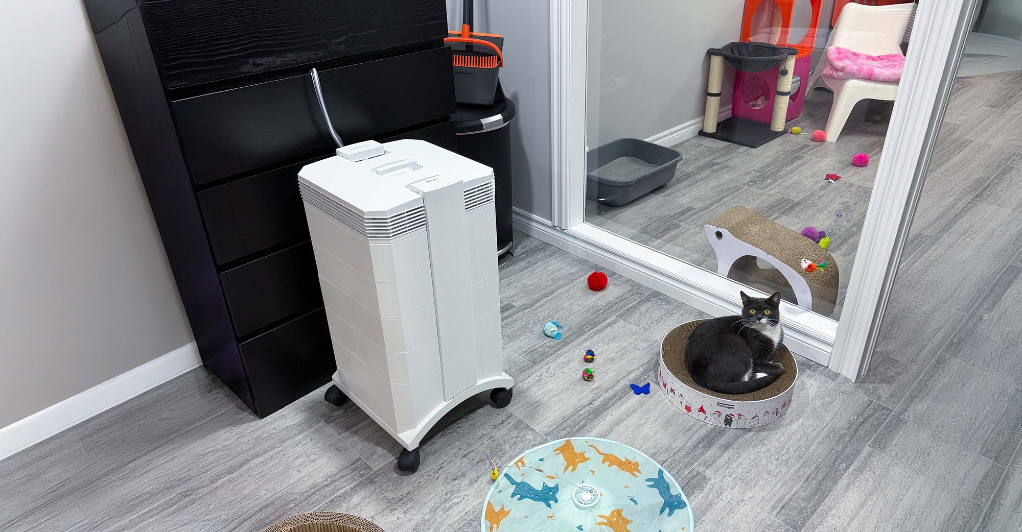 Cat resting next to air purifier.