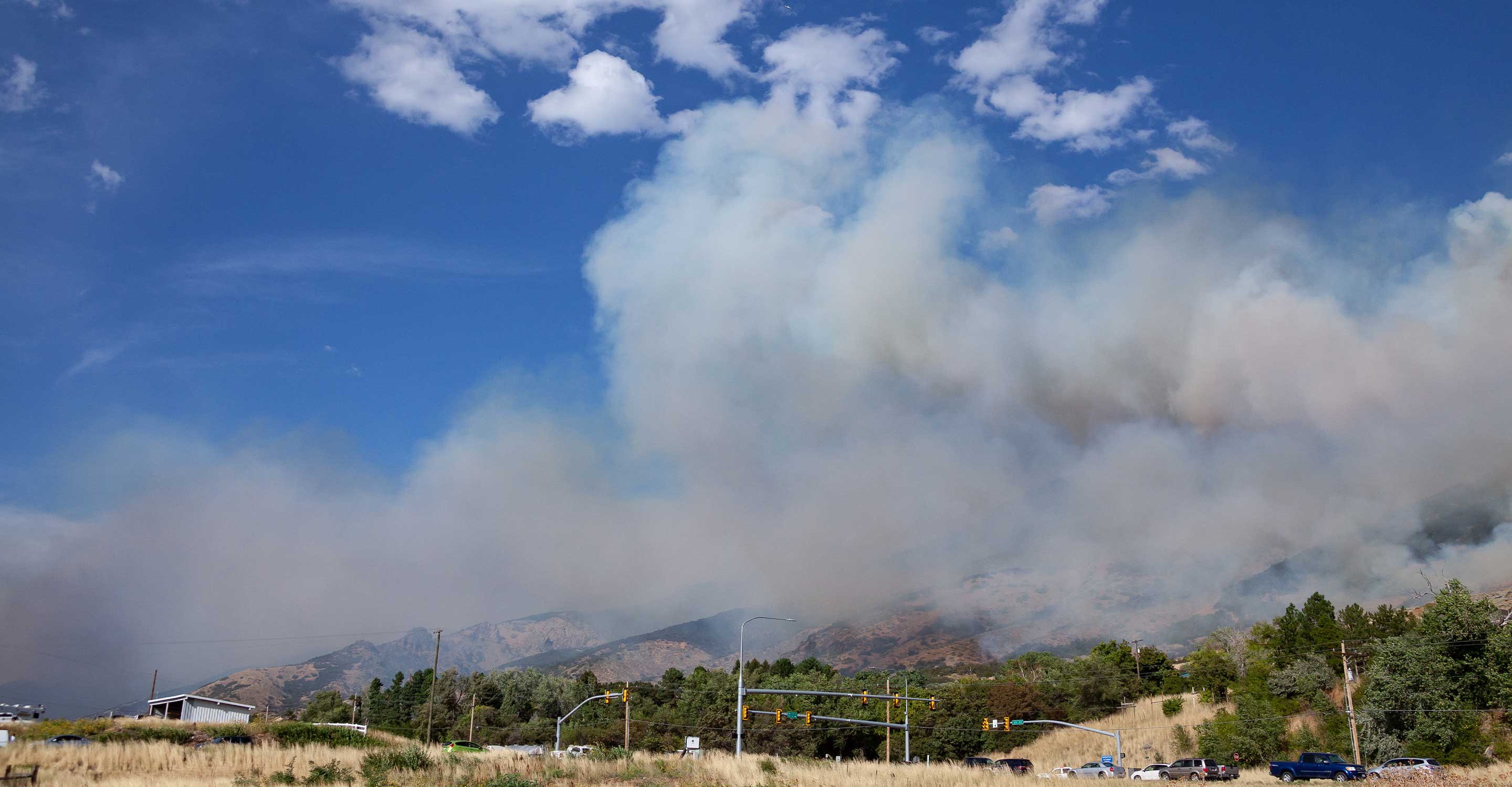 Smoke over woods