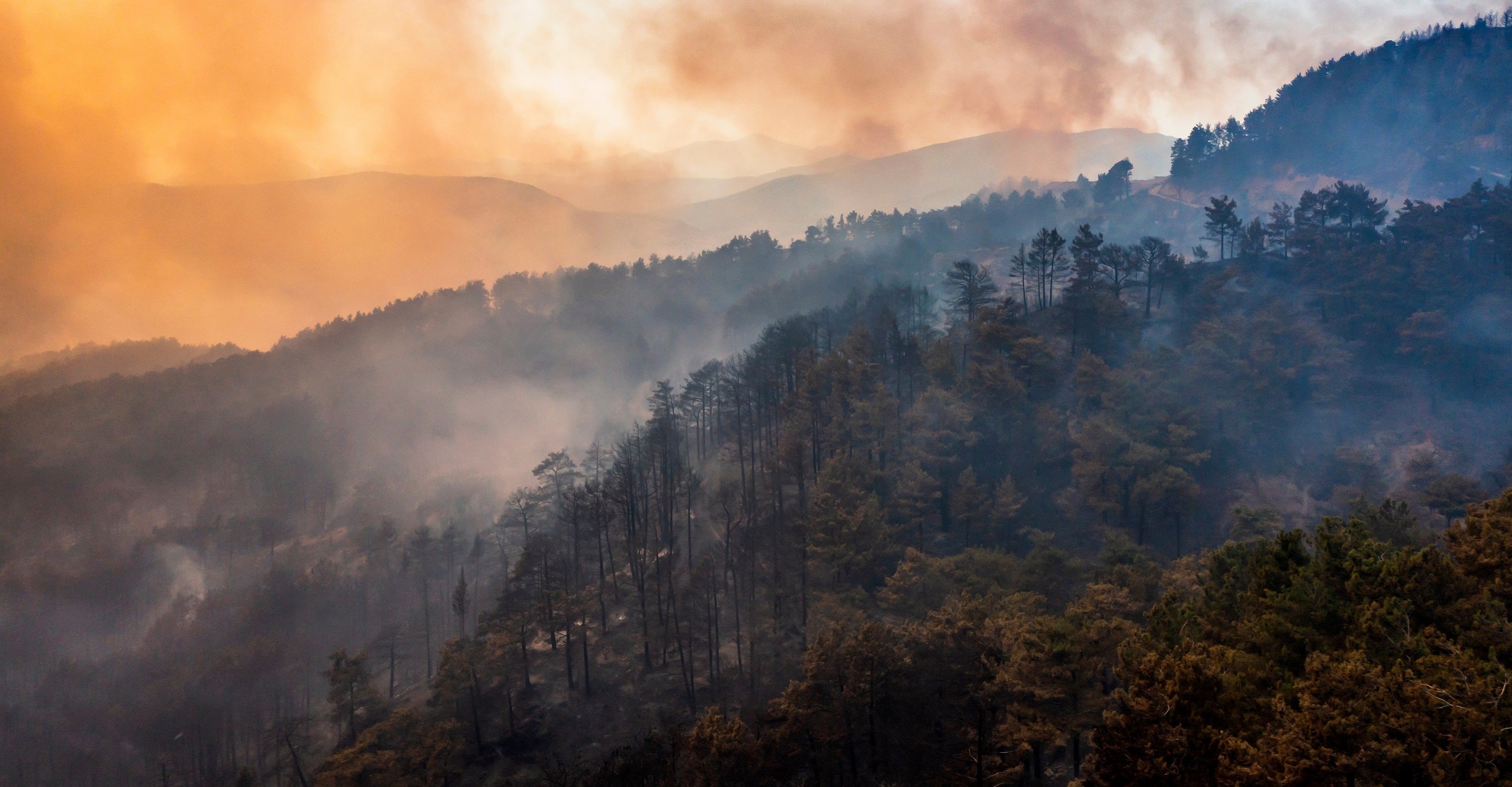 Wildfire Map Spotlight: Limassol Wildfire, Cyprus