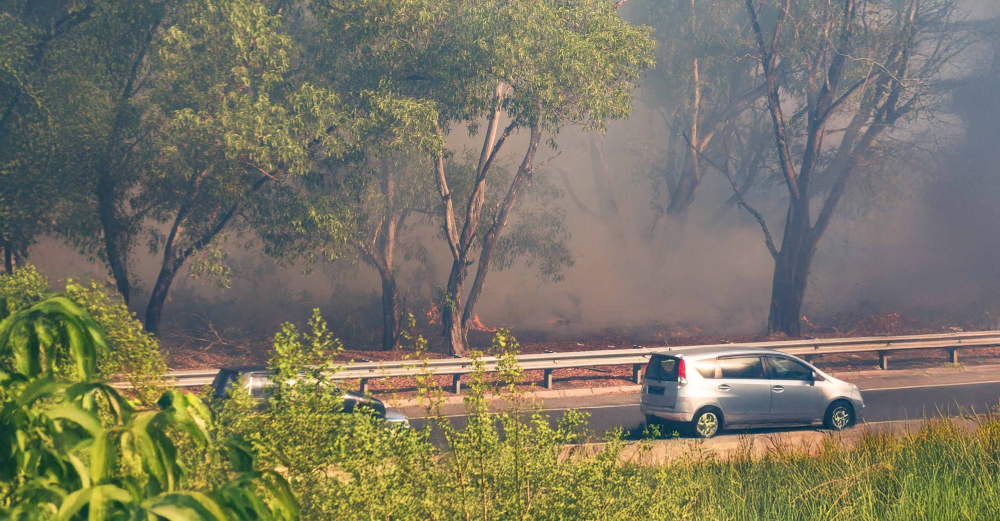 Vehicle driving by smoky wooded area