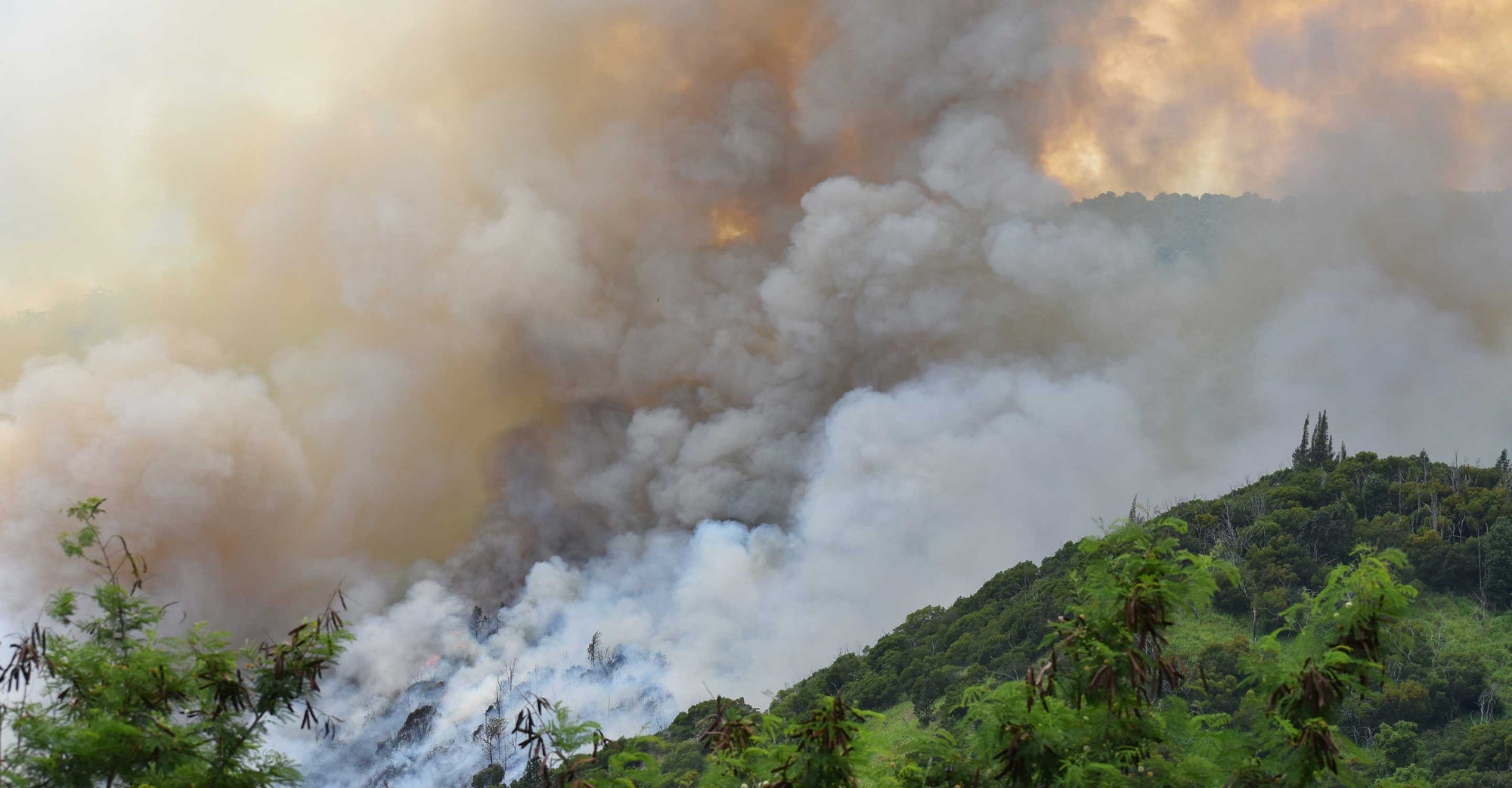 A wildfire burning in rural Central Oahu, Hawaii.