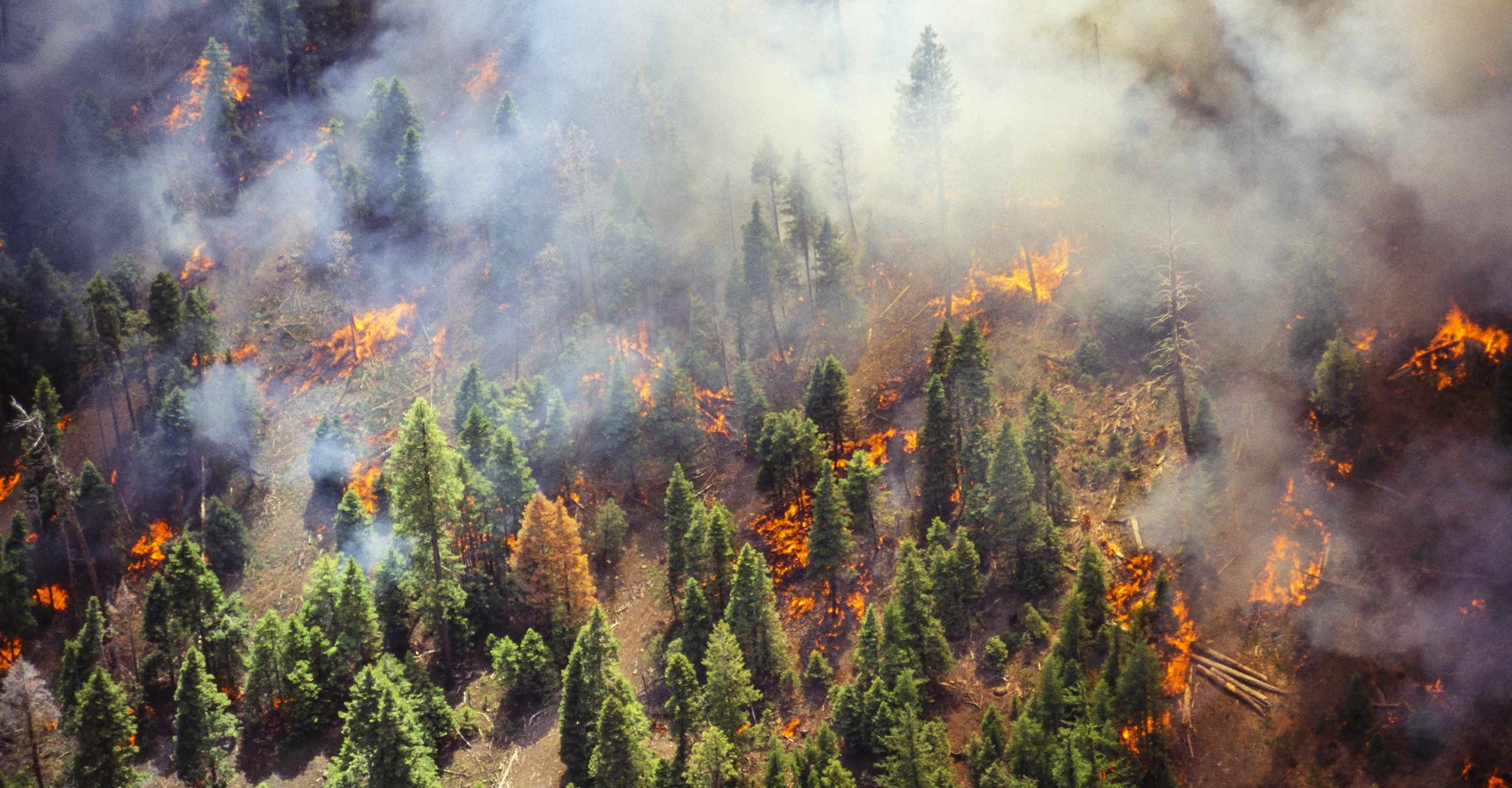 Wildfire Map Spotlight: Oregon Wildfires