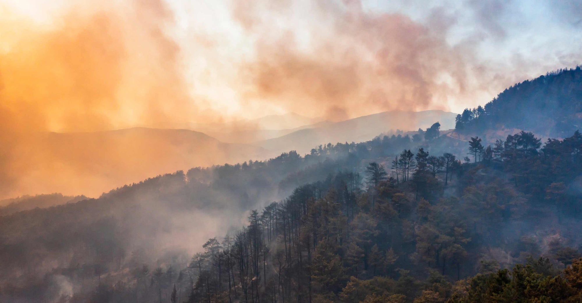 The hidden dangers of urban wildfire smoke