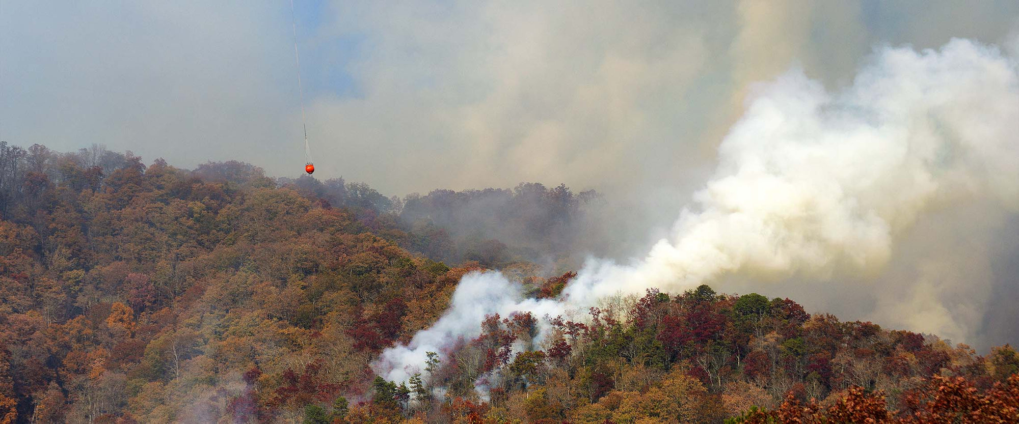 Fire burning in the mountains of North Carolina.