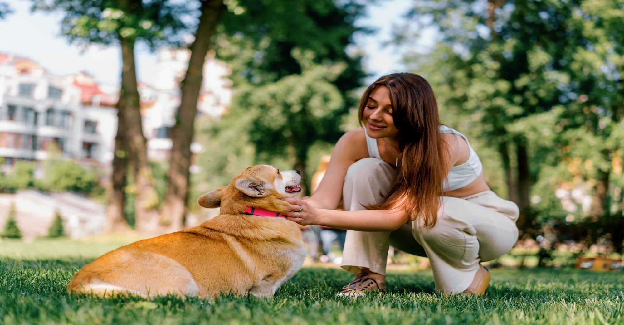 girl with a dog