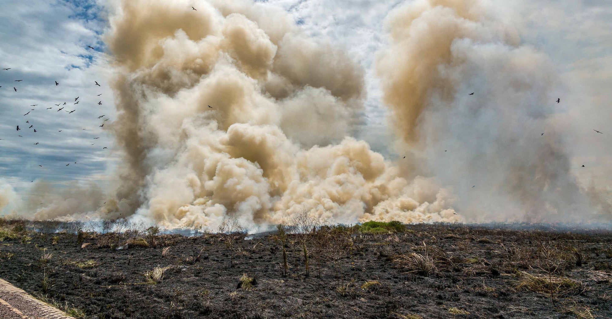 Bushfire on Tasmania's West Coast