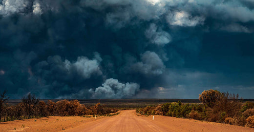 wildfire smoke down a dirt road