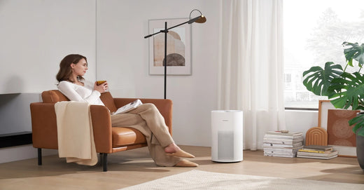 Whole-Home Air Purifier Systems: Pros, Cons, And Recommendations