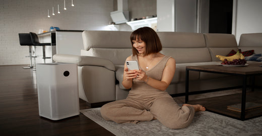 Guide To Portable Air Purifiers For Flexible Room Usage