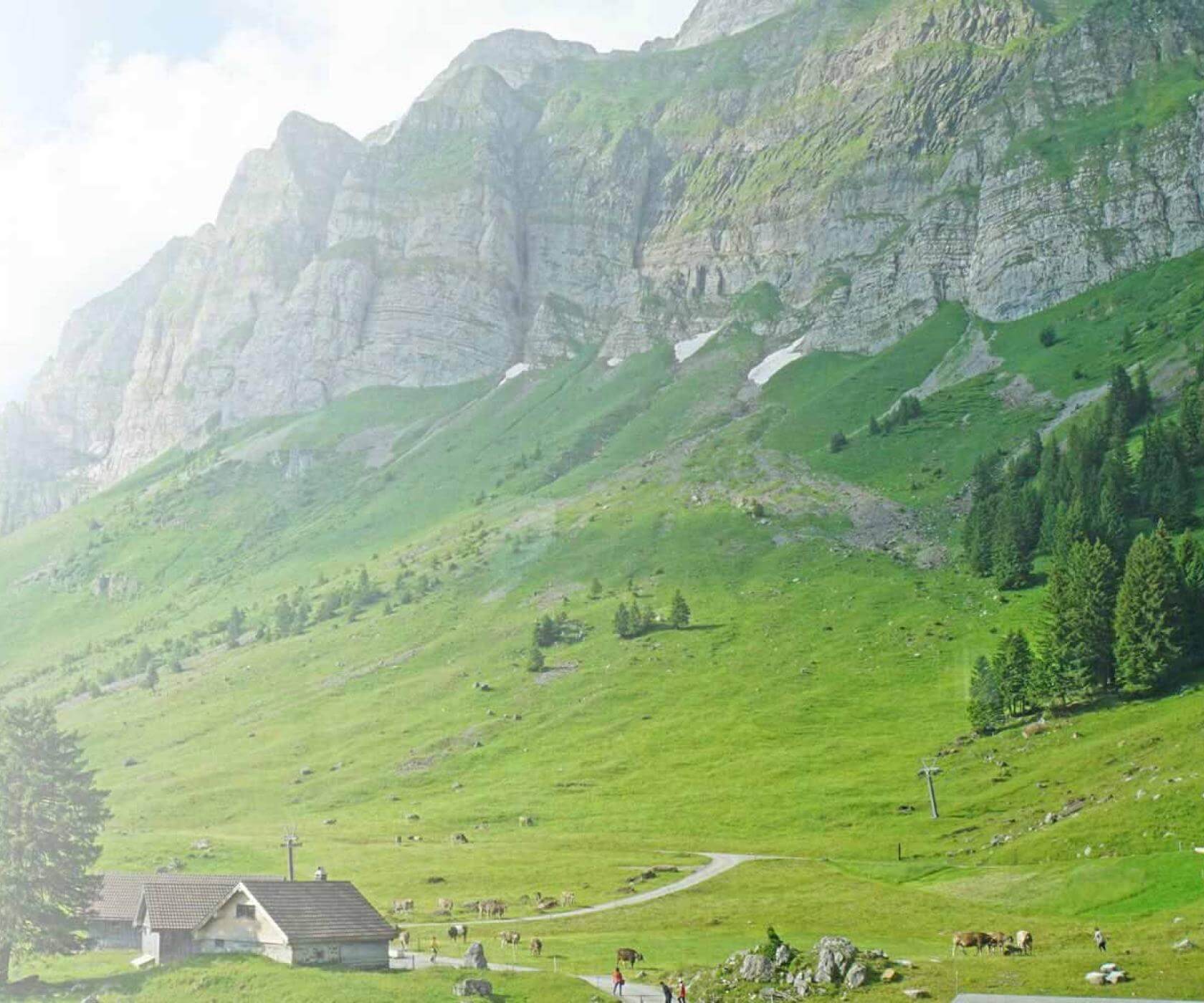 Swiss hill side