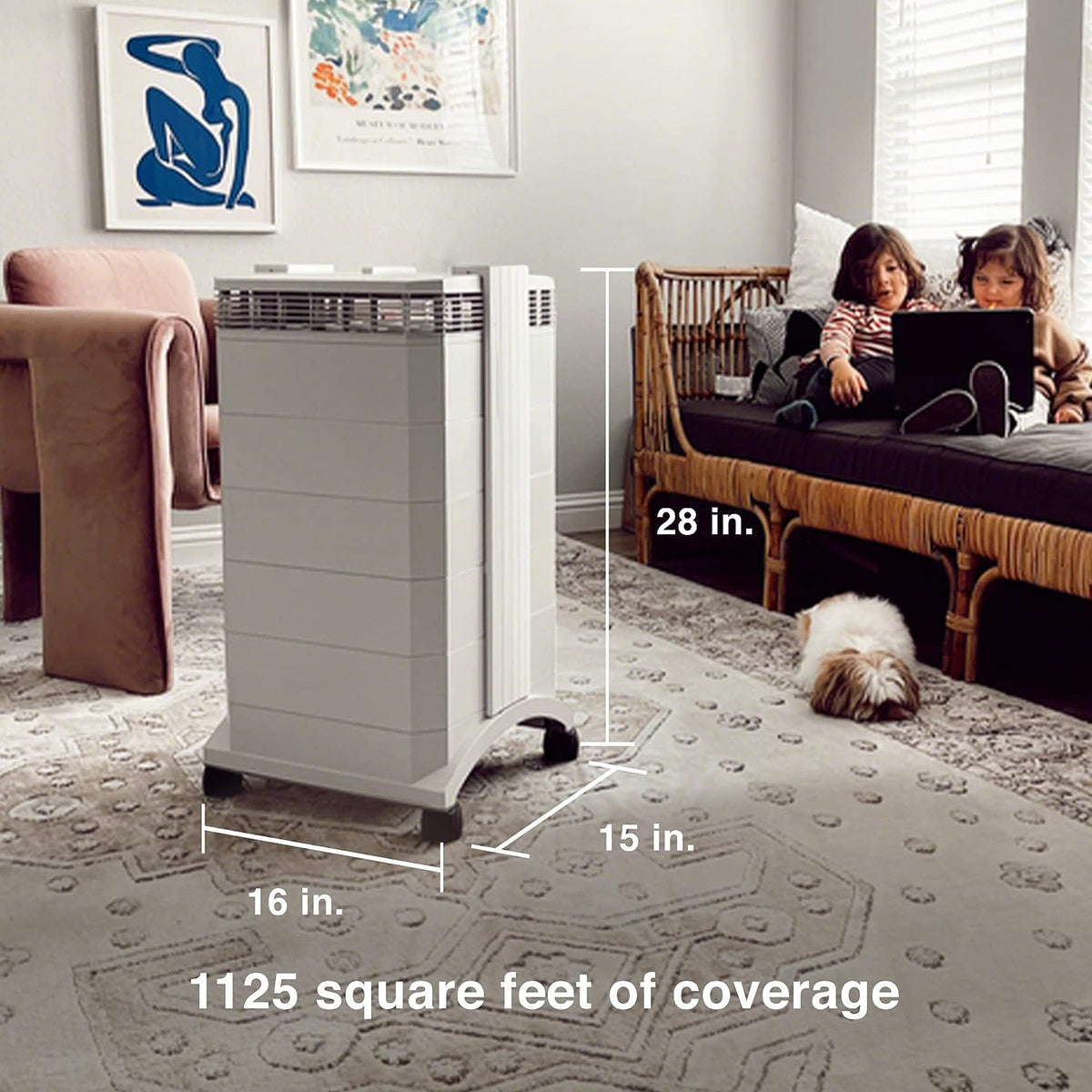 HealthPro Plus with dimensions and dog on floor