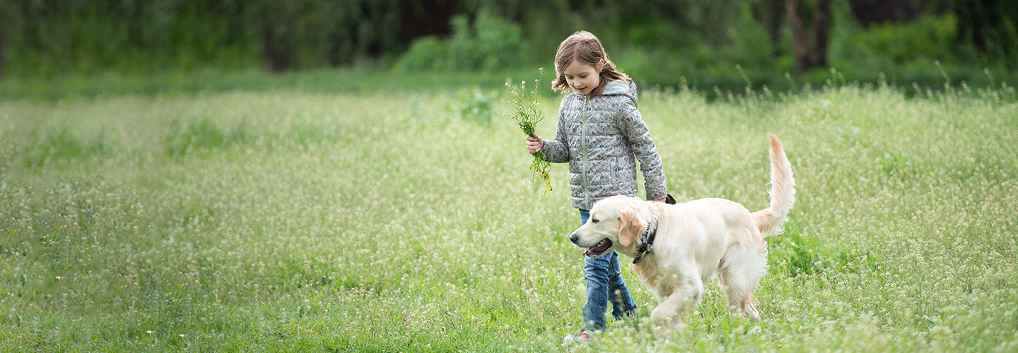 Little girl walking with dog