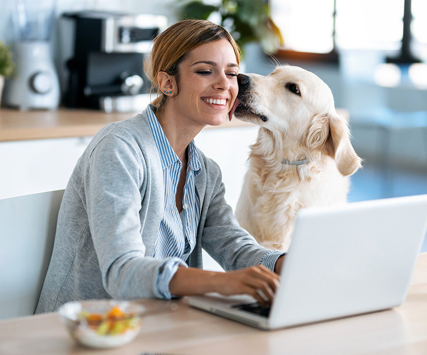 dog licking woman's face while on laptop